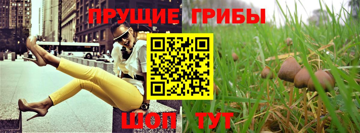Галлюциногенные грибы GOLDEN TEACHER Татарск